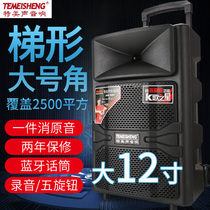 Special voice A100 square dance audio Outdoor Speaker professional mobile singing Rod stall high power Bluetooth 12 inch K song elimination sound subwoofer with wireless microphone player