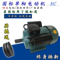 Wenling Electromechanical 370W single-phase motor 220V copper wire 550W horizontal two-phase motor Low-speed household motor