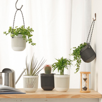 Japan imported mini potted ornaments living room hanging flower green plant pot fake flower hanging basket multi meat pot hanging basket