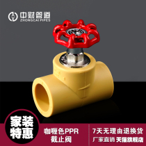 Zhongcai pipe Curry color PPR hot and cold water supply pipe accessories globe valve lift gate valve
