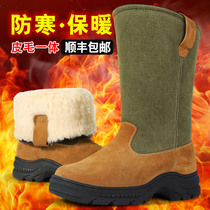 Snow boots mens winter fur integrated wool boots thickened warm northeast cotton boots mens Mongolian boots High-tube Martin boots