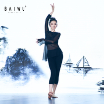 Baiwu Dance Garden New Yin Shuo series classical dance clothing adult female ballet mesh dance long sleeve slim body
