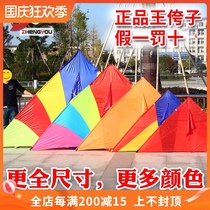 Wang Yazi Kite 544 Aviation Soft Umbrella Carbon Pole Breeze Good Flying High-grade Professional Large Triangle Anti-Gale