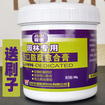 Tree Wound Healing Mixture Plant Fruit Tree Grafting Bonsai Stump Application Agent Green Seedling Sealing Cream