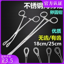 Stainless steel sponge pliers medical pliers cupping pliers oval pliers straight elbow toothless toothless sponge clip 25cm
