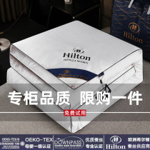 Exit Hilton hotel silk quilt 100 mulberry silk spring autumn quilts by winter quilts quilts by the core summer quilts by air conditioning