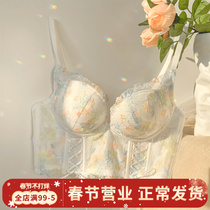 Floating life like a dream ~ French bra underwear women gather breasts to prevent sagging sexy pure desire without rims bra