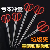 Stainless steel yellow eel clip catch-up tool eel tool eel special tool litter clamp rat fishing catch crab with fish