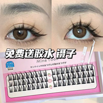 Little Devil Fake Eyelash Women Comic Book Barbie Fairy Fur Natural Emulation Single Cluster Sectional Self-Glued Down Eyelash Soft