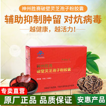 Anhui products 100 mycorrhizal series (Shenzhou Shengsai Cracked Lingzhi Spore Powder Capsule) Li holds Kane