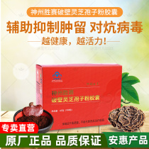 Anhui products 100 mycorrhizal series (Shenzhou Shengsai Cracked Lingzhi Spore Powder Capsule) Li holds Kane