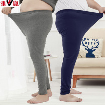 Large Code Autumn Pants Mens Pure Cotton Middle Aged Warm Pants Plus Fattening Up Autumn Winter Cotton Pants Fat Sub the Fat Big Number