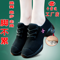 Cow overbearing dance shoes square dance shoes new summer dance shoes adult women soft-soled mesh breathable dance shoes 5595