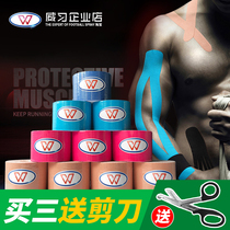 Wei Xi muscle paste exercise muscle internal effect cloth muscle strain pain stick sore patch tape elastic bandage exercise tape