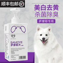 Samoye shower gel white hair special whitening Yellow Dog Bathing supplies sterilization deodorization and itching shampoo bath liquid