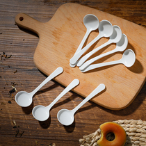 Seasoning spoon Seasoning spoon For ingredients Coffee spoon Mixing spoon Plastic household spoon Kitchen salt monosodium glutamate seasoning measuring spoon