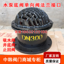 H42X-6 Flange bottom valve One-way valve Check valve Cast iron water pump bottom valve DN50 80 100 150 200