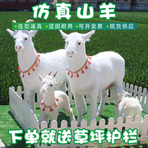 Sheep model simulation animal Goat leather hair taxidermy ornaments Lamb shop milk powder shop decorative crafts
