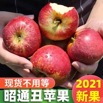 Sugar heart fresh fruit Apple Yunnan Zhaotong wild ugly apple