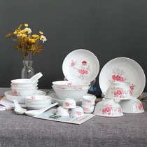 National porcelain red official kiln Red Plum 39 56 head ceramic tableware Liling underglaze color dishes porcelain set