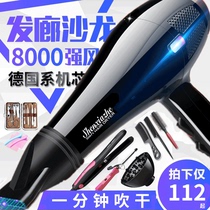 Hair dryer home high power quick-drying barber shop 8000W blue light hair care negative ion silent constant temperature hair dryer