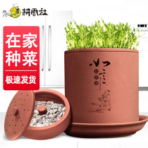  (Non-heritage product)Gengyun Society earth pottery bean sprout tank Household bean sprout machine artifact Raw mung bean sprouts Homemade bean sprouts