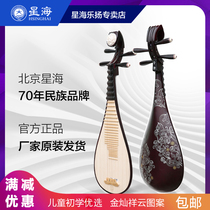 Beijing Xinghai Primary School children adult pipa musical instrument 897EXY hardwood pipa performance grading practice pipa
