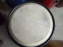 Poetry enjoy 10 inch 11 inch drum skin Kangjia drum skin cowhide Kangjia drum skin 10 inch 11 inch Kangjia drum skin