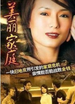 Support DVD Beautiful Family Zheng Huibin Zheng Xiuzhen 35 episodes 4 discs