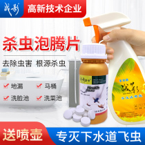 Insecticide Household indoor non-toxic and powerful small black flying insects moths midges cockroaches millipedes bedbugs toilet sewers