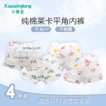 Little Green Dragon Kids Panties Boys Girls Boxer Boxers Cotton 2-17 Year Old Baby Cartoon Kids Shorts
