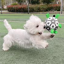 Dog football toy bite-resistant artifact molars pet interactive ball dog Teddy Corky supplies puppy puppies