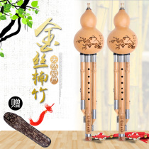 Golden silk bamboo cucurbit C downgrade B adult beginner primary school children self-taught playing musical instruments