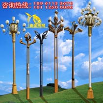 Chinese lamp Magnolia lampshade 6 square led Module 5 stainless steel 8 meters hot dip galvanized 12 outdoor 10 road landscape lights