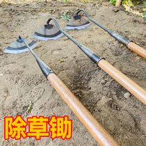 Farmware and grass - rake gardening outdoor open gray grass - hoe scraper steel rake