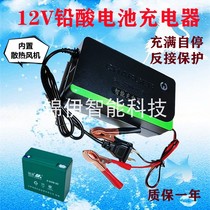 12v 20 amp electric vehicle single lead-acid battery charger 12V20AH charger battery smart motorcycle