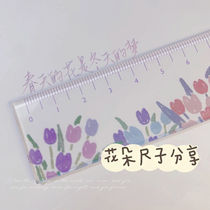 ins ruler transparent acrylic students cute Korean version of high-value Primary School students female scale plastic sleeve ruler