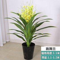 Dancing orchid fake flower simulation Fortune Dragon Blood Tree green iron dancing orchid plastic potted home decoration green plant big pot