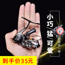 Spinning wheel 1000 micro-matter fishing wheel stainless steel all-metal fish wire wheel palm Chinese precious little fish wheel fish furniture supplies big