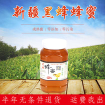 21 years of Xinjiang Yang Laofour farmhouse self-produced fresh wild mountain flower black bee honey 2kg without adding