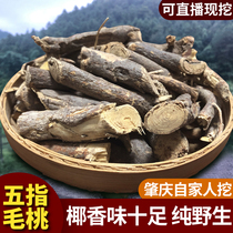 Five-finger hairy peach root wild special coconut seven-finger milk five-claw golden dragon 500g Guangdong soup dry goods