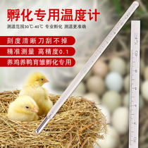 Chicken hatching special thermometer Hatching box incubator Mercury thermometer High precision 30-40 accuracy 0 1