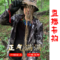 Taobao live payment dedicated