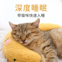 Kitty Special Small Pillow Cat Mat Soft Small Blanket Pet Pillow Dog With Small Pillow Dog Special Pillow