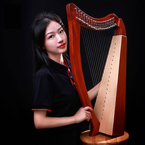 Musical instruments Classical harp professional Angel piano Little Irish Leya Kyle piano Kyle piano practice 15 strings