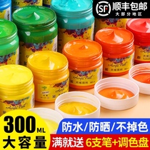 300ml Acrylic paint Waterproof painting materials diy hand-painted painted wall painting tools special painting clothes change shoes Textile pigment set is not easy to fade white gold exterior wall stone graffiti