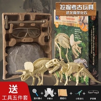 Dinosaur fossil Tyrannosaurus Rex skeleton archaeological excavation toys boys and girls handmade diy children dig treasure hidden toys