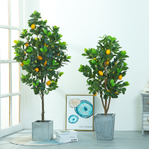 Nordic simulation green planting lemon tree orange tree apple tree indoor landing fake potted plant with fruit living room decoration ornaments
