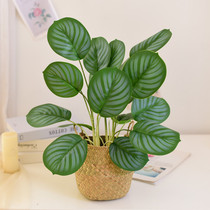 Nordic living room simulation plant green plant decoration fake flower ins wind decoration home small potted desktop creative decoration