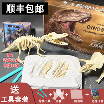 Digging dinosaur fossils Archaeological excavation toys Childrens hand-assembled DIY Jurassic Tyrannosaurus Rex skeleton model